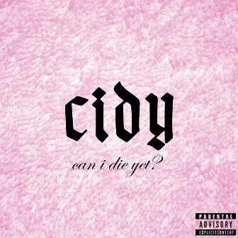 C.I.D.Y (Can I Die Yet?) by Cook