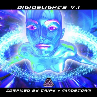 DigiDelights, Vol. 1 Compiled by Mind Storm, DoctorSpook and Tripy by Mind Storm