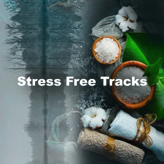 Stress Free Tracks by Self Care Meditation