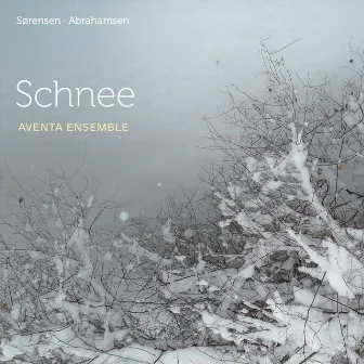 Schnee by Hans Abrahamsen