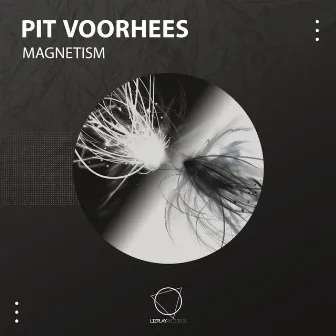 Magnetism by Pit Voorhees