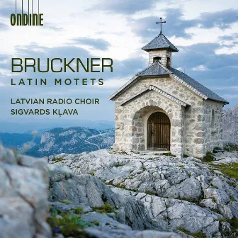 Bruckner: Latin Motets by Sigvards Kļava