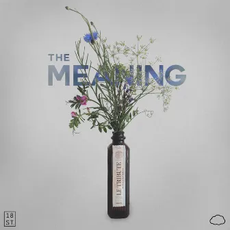 The Meaning by NTHN