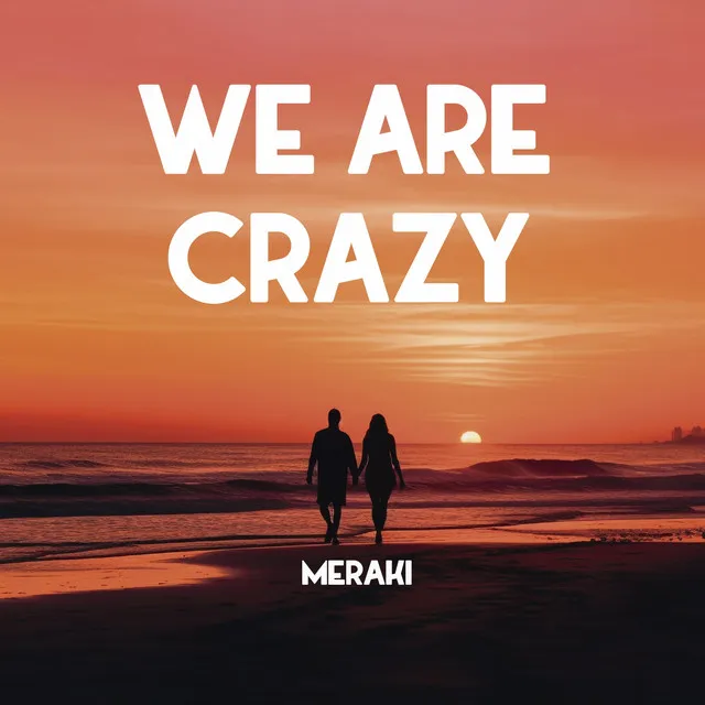 We Are Crazy