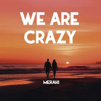 We Are Crazy by Meraki