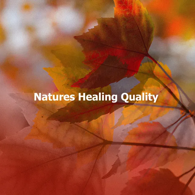 Natures Healing Quality