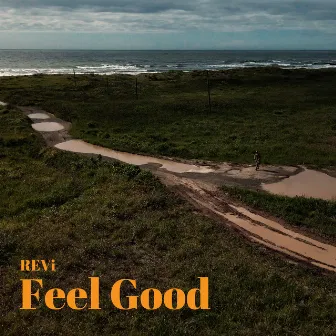 Feel Good by REVi