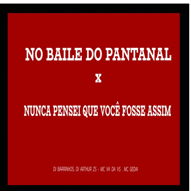 NO BAILE DO PANTANAL x NUNCA PENSEI QUE VC FOSSE