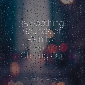 35 Soothing Sounds of Rain for Sleep and Chilling Out by Rain Sounds XLE Library