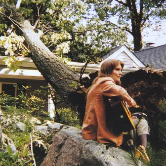 The Sound of A Tree Falling by Terre Roche