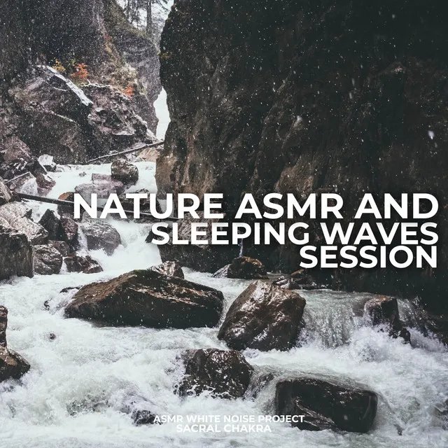 Nature ASMR And Sleeping Waves Session