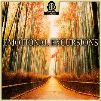 Emotional Excursions - Intimate Moments, Heartwarming Piano & Orchestra Performances by Nitzan Sagie