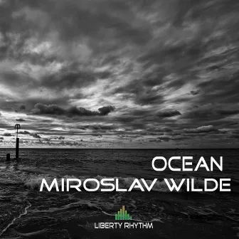 Ocean by Miroslav Wilde