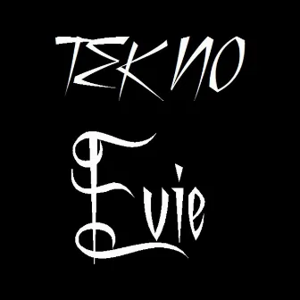 TEK NO by Evie