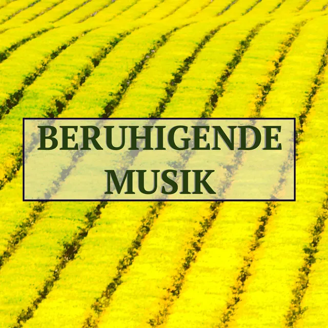 Beruhigende Musik: Lieder zum Entspannen für Nachdenken & Übernachten