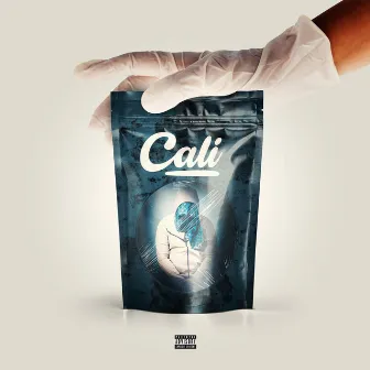 Cali by Bandido