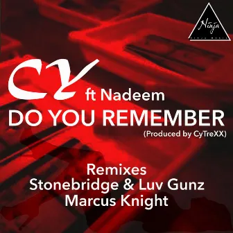 Do You Remember (feat. Nadeem) by Cytrexx