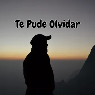 Te Pude Olvidar by Los Alegres Cordillera