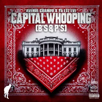 Capital Whooping (B's & P's) by Avenue Champp