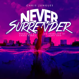 Never Surrender by Chris Jungles