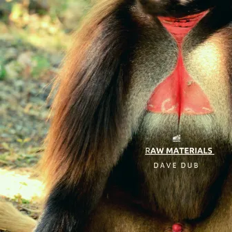 Raw Materials by Dave Dub