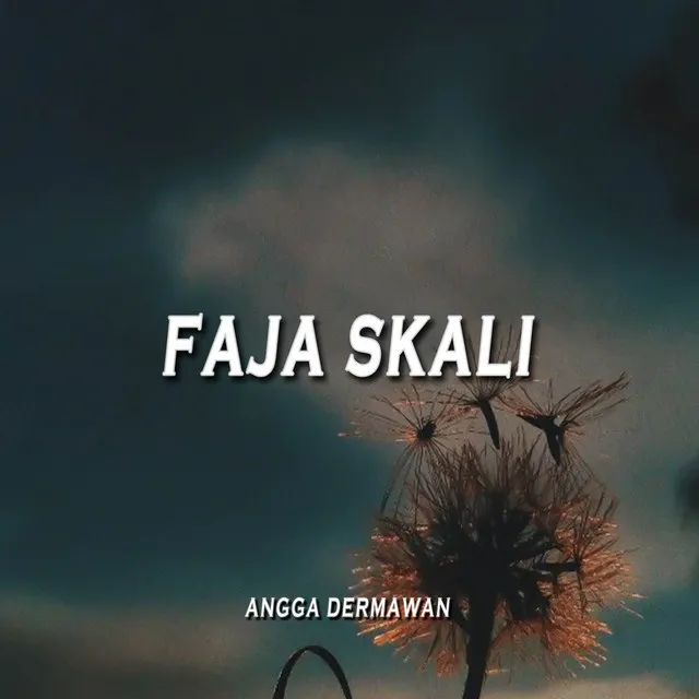 FAJA SKALI (DJ NIAL RMX)