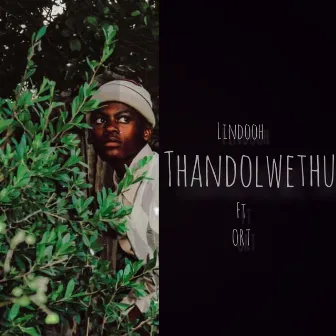 Thandolwethu by ORT