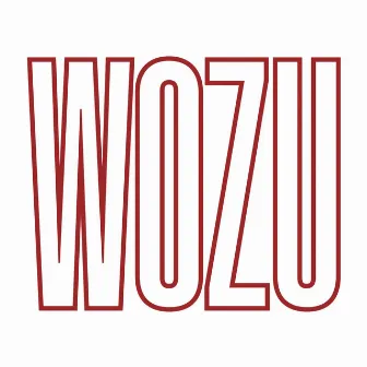 Wozu by Laurin Buser