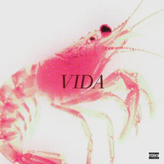 Vida by Kmar Mc