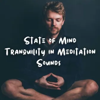 State of Mind Tranquility in Meditation Sounds by Dr. Karma & Meditation