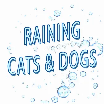 Raining Cats & Dogs by Rain for Deep Sleep