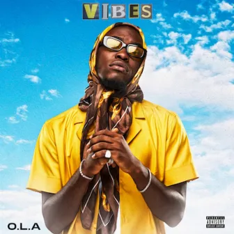 Vibes by O.L.A