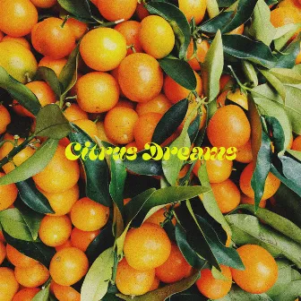 citrus dreams by Faith Lofi