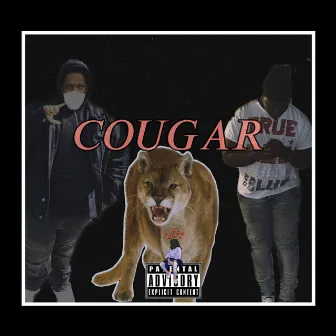 Cougar by BIG XAVII