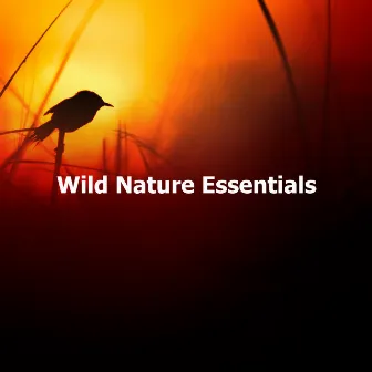 Wild Nature Essentials by Unknown Artist