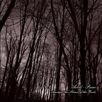 Amongst The Silence Of The Woods by Asbel