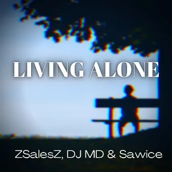 Living Alone by ZSalesZ