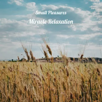 Miracle Relaxation by Small Pleasures