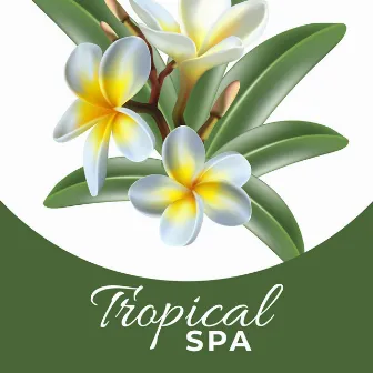 Tropical Spa🌴 (Relax and Unwind with Exotic Spa Music) by Functional Music