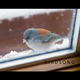 Birdsong (Gabe's song) by J.B.