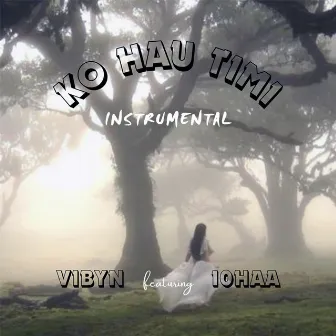 Ko Hau Timi (Instrumental) by VibyN