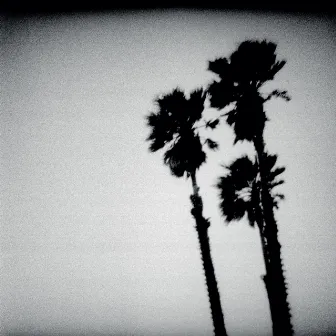 Blackberry Belle by The Twilight Singers