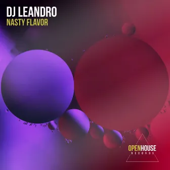 Nasty Flavor by DJ Leandro