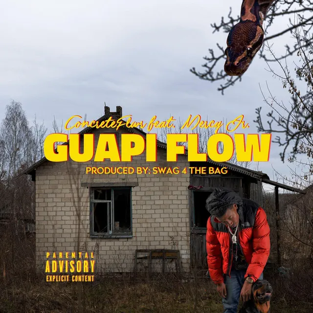 Guapi flow