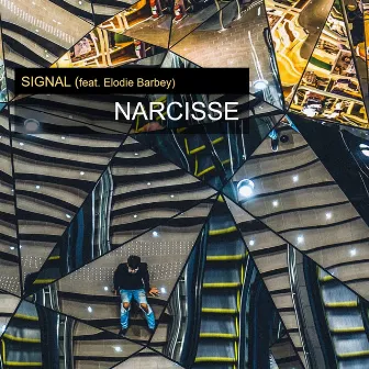 Narcisse by Signal