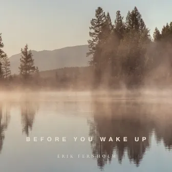 Before You Wake Up by Erik Fernholm