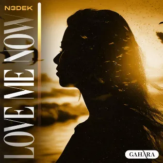 Love Me Now by N3dek