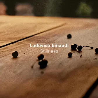 Stillness by Ludovico Einaudi