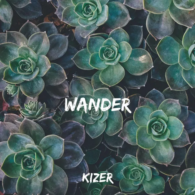 Wander