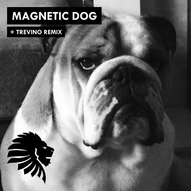 Magnetic Dog - Trevino Remix